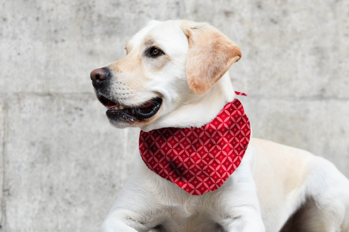 Bandana in festlichem Rot