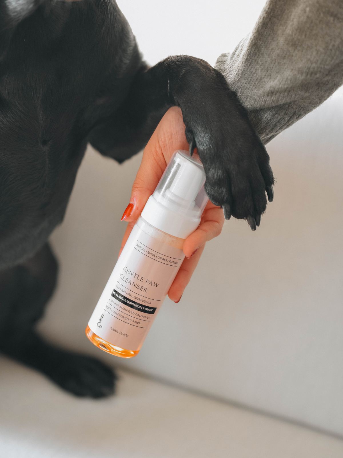 The Naturally Clean Kit