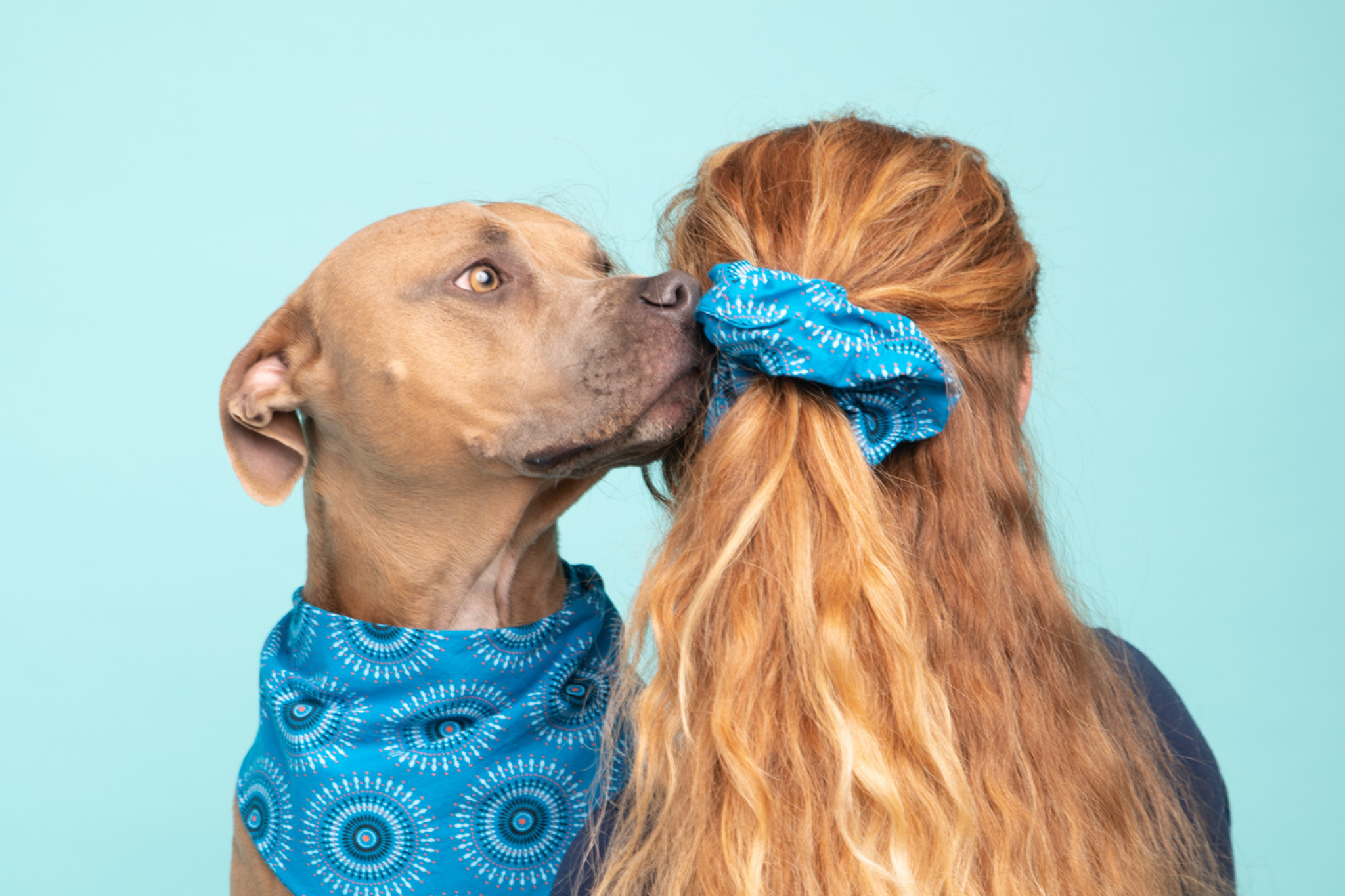 Bandana & Scrunchie Set in Blau