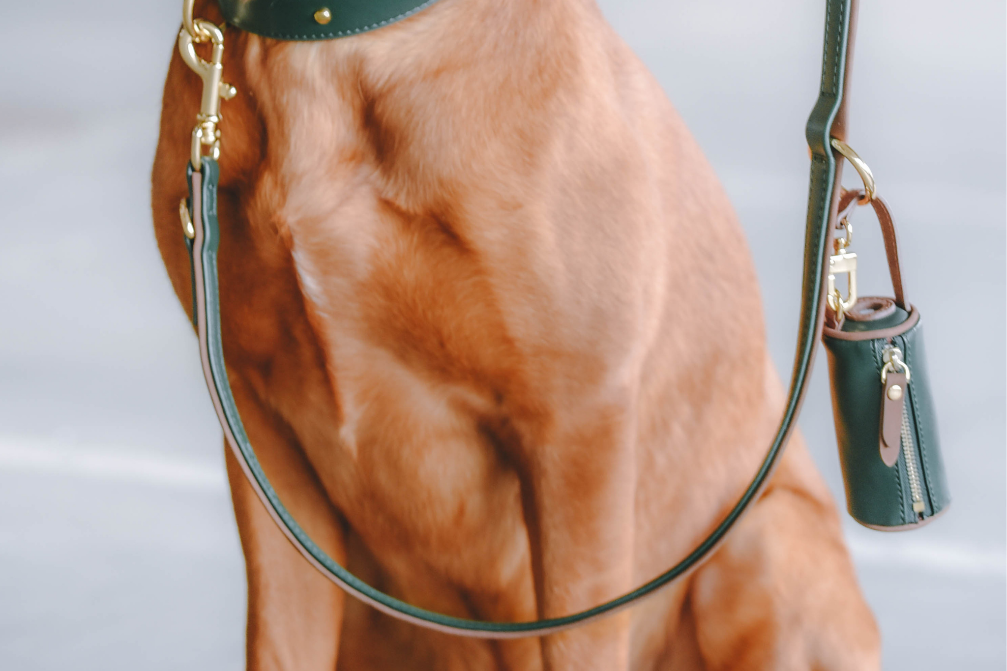 Apple Leather Poop Bag in Winter Green