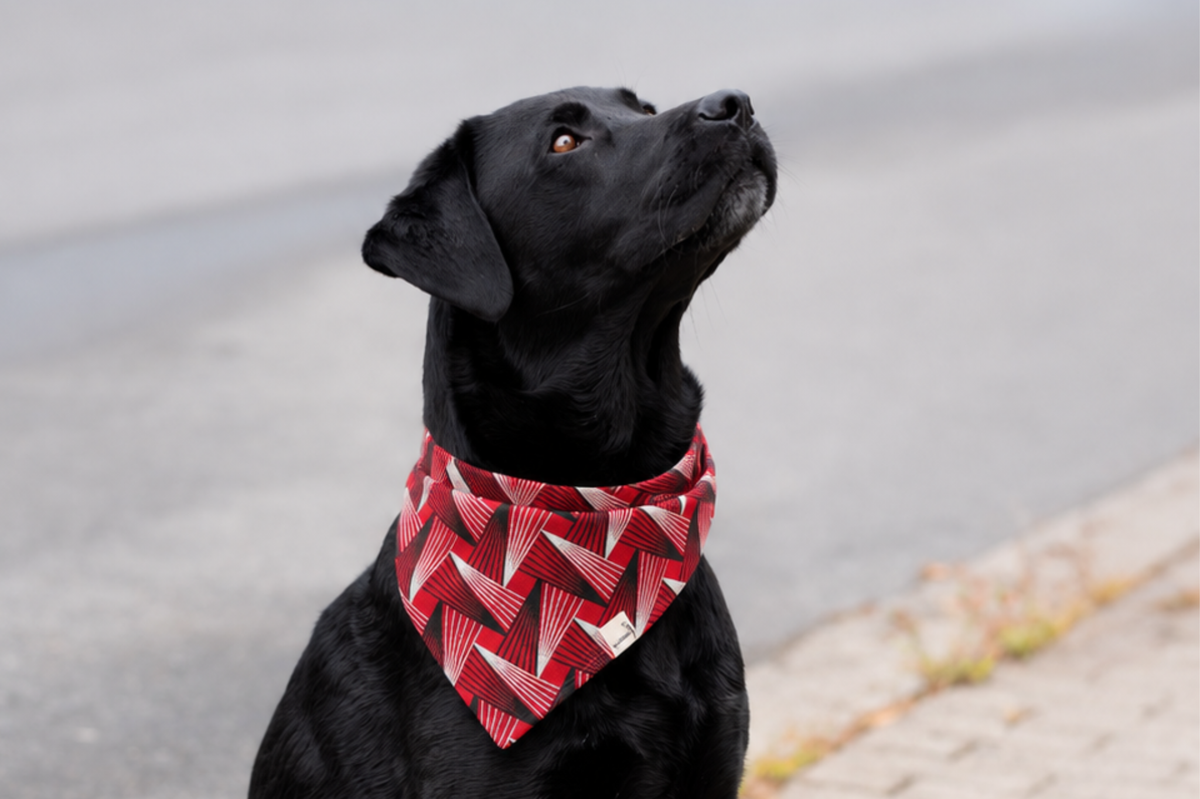 Bandana in Red Pine