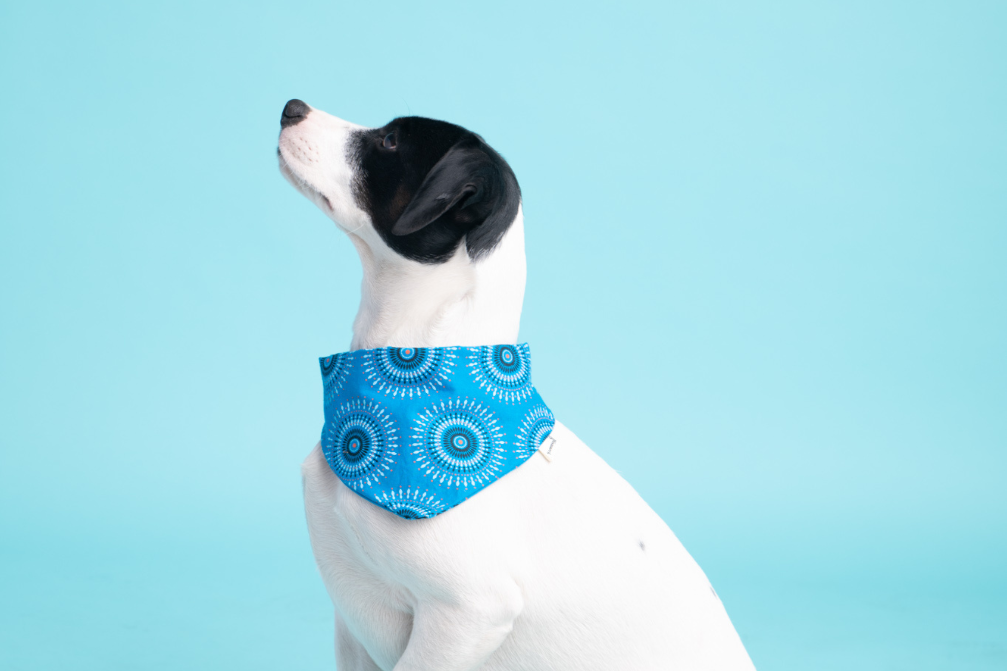 Bandana in Blauem Shweshwe