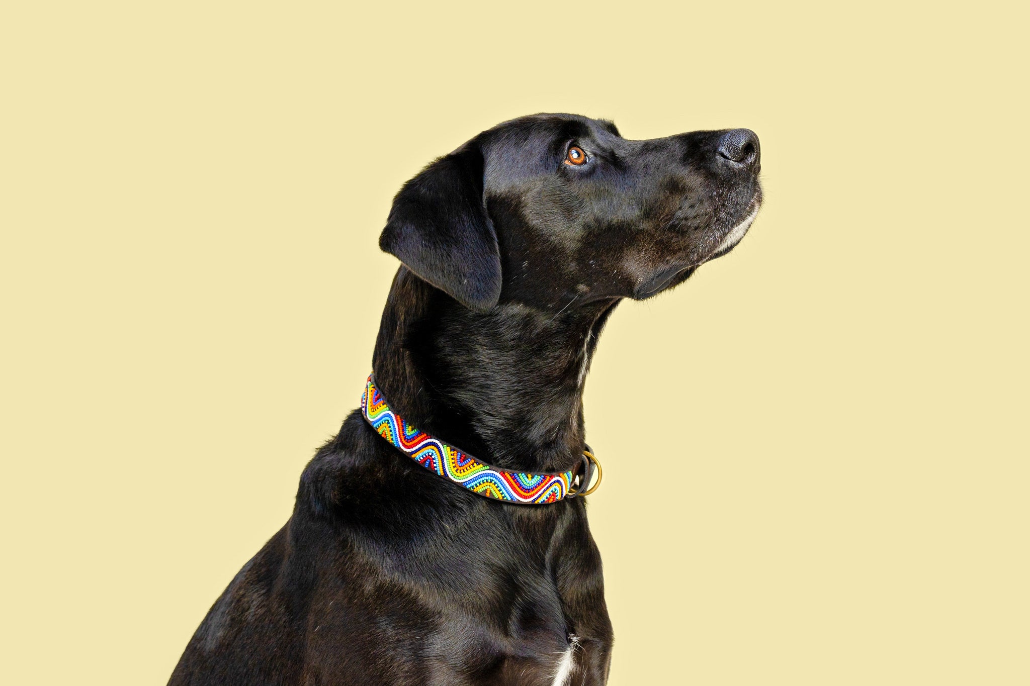 Perlenhalsband | Rainbow Wave