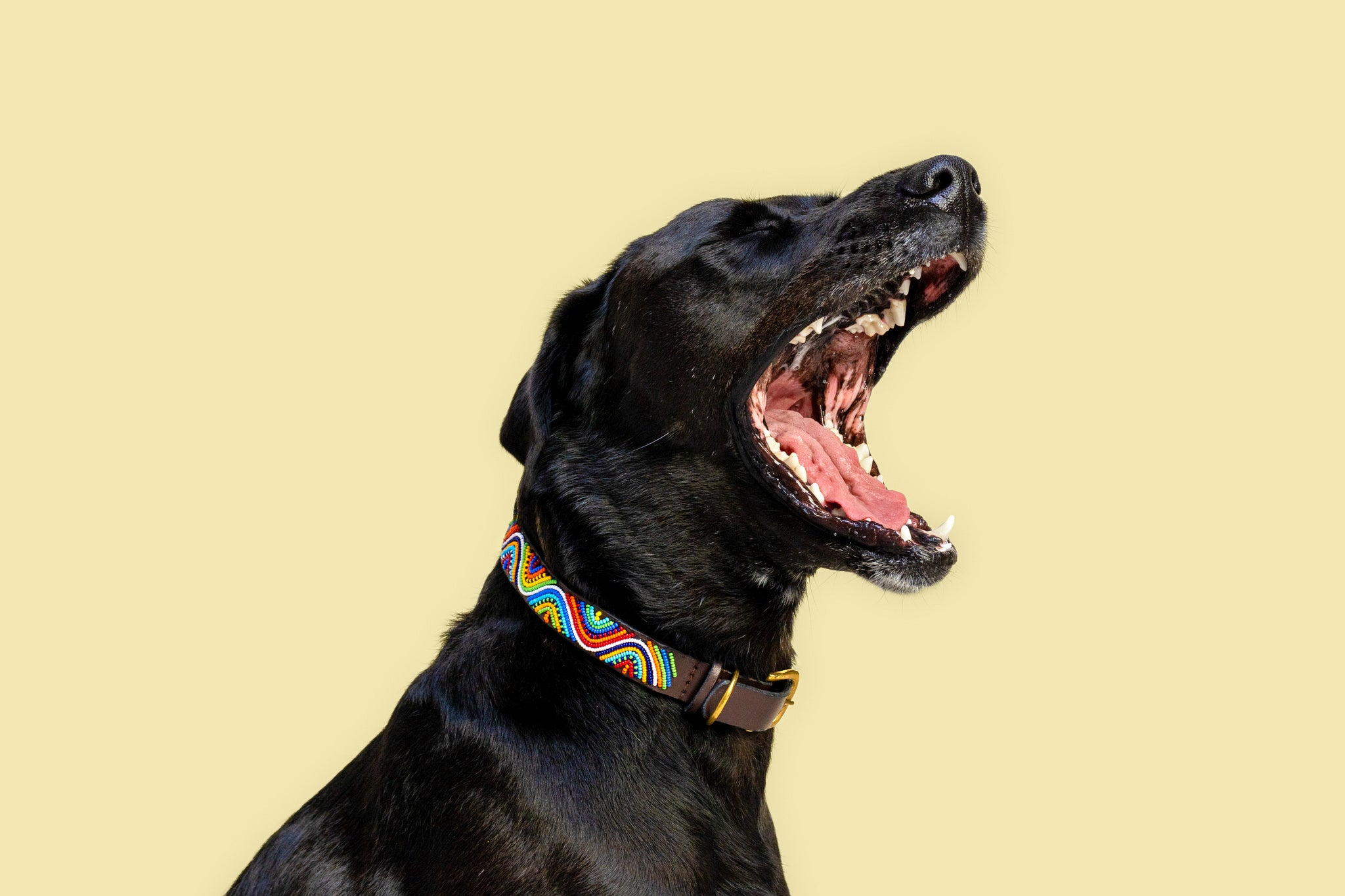 Perlenhalsband | Rainbow Wave