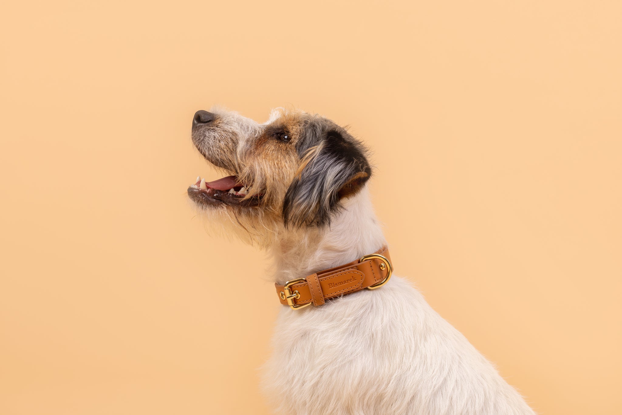 Halsband aus Apfelleder in Kamel