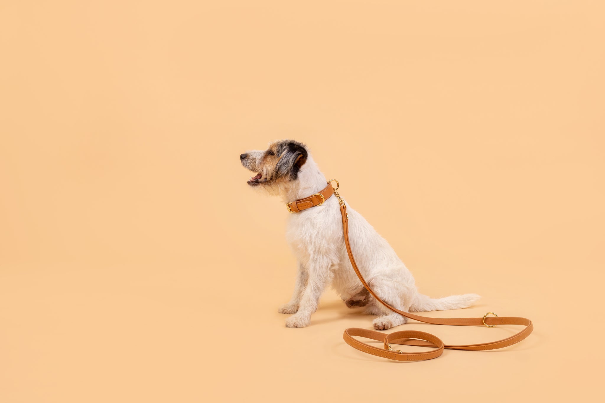 Halsband aus Apfelleder in Kamel