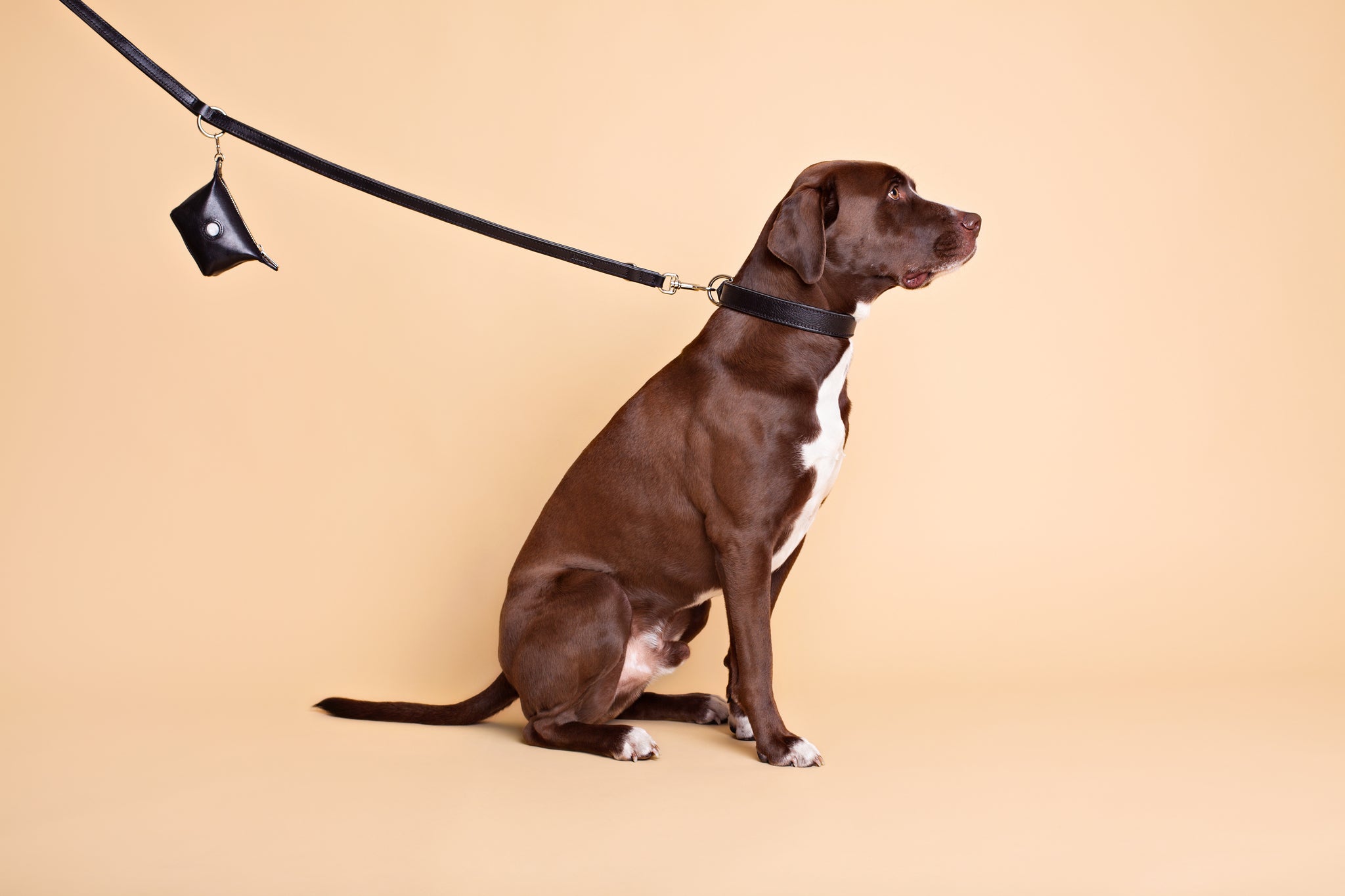 Leather Leash in Black