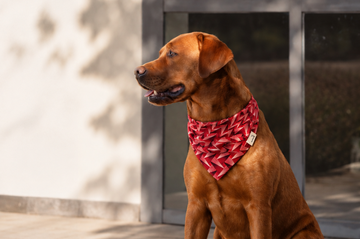 Bandana & Scrunchie in Kiefernrot