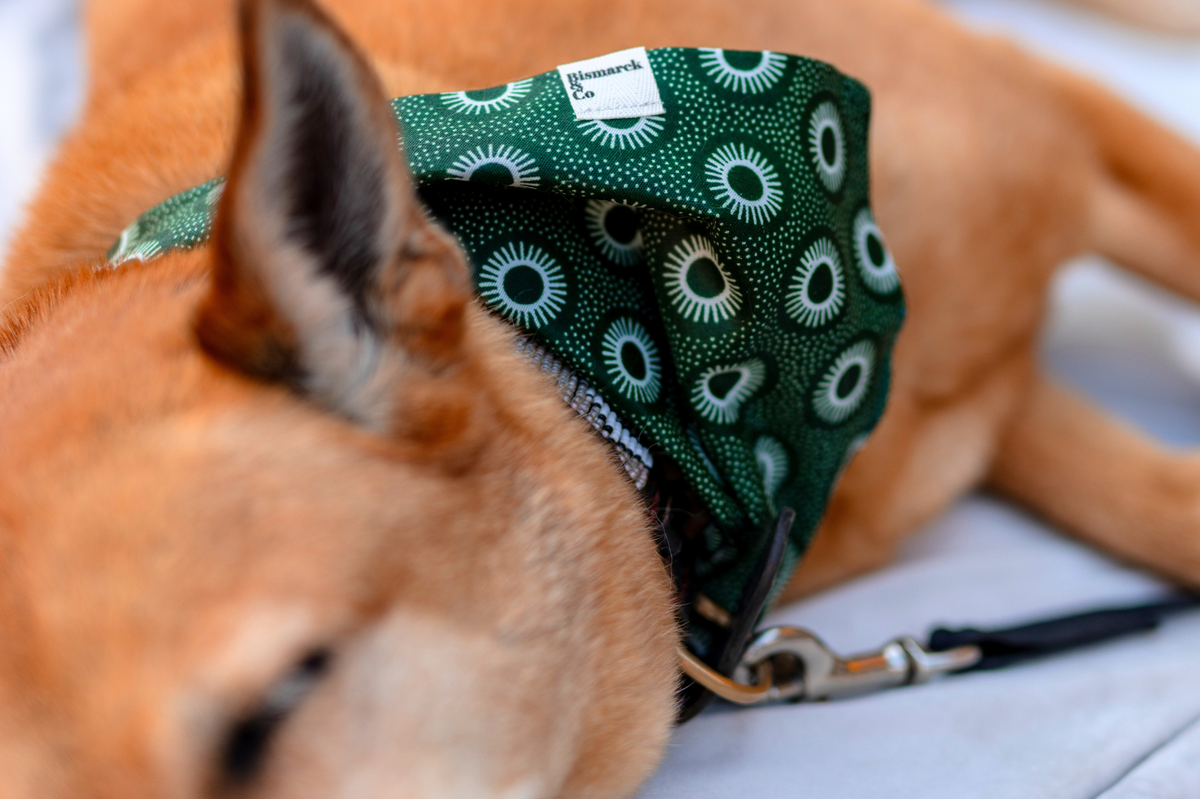 Bandana in Winter Green