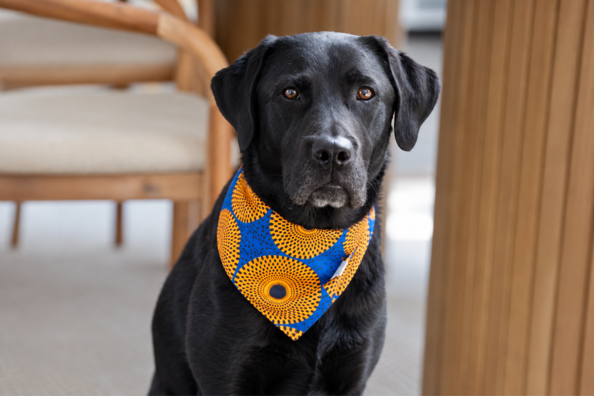 Bandana in Sunrise Shweshwe