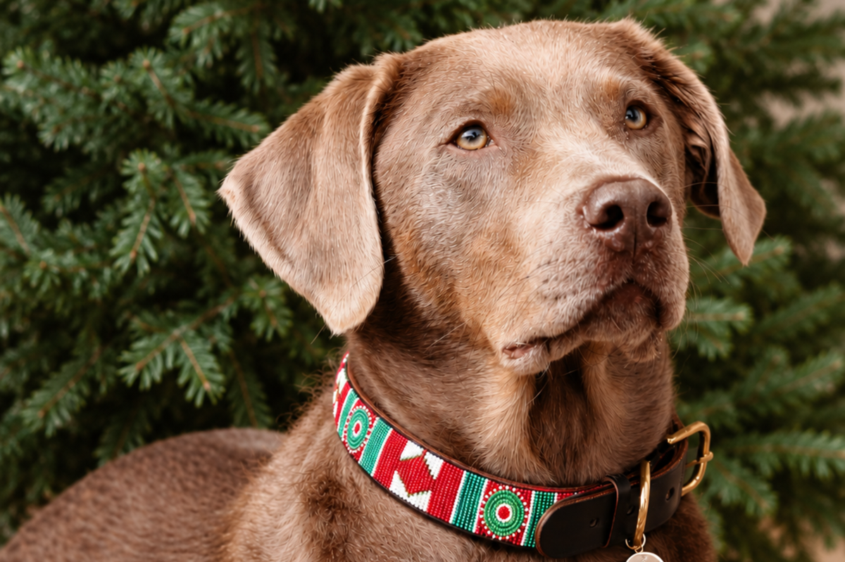 Beaded Collar | Red, White & Green